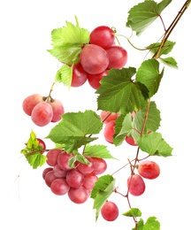 Image of Fresh ripe grapes with green leaves falling on white background