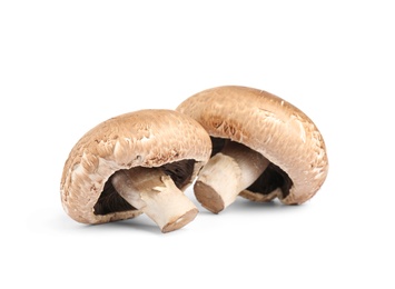 Photo of Fresh wild mushrooms on white background. Edible fungi