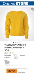 Image of Online store website page with stylish sweatshirt and information. Image can be pasted onto smartphone screen