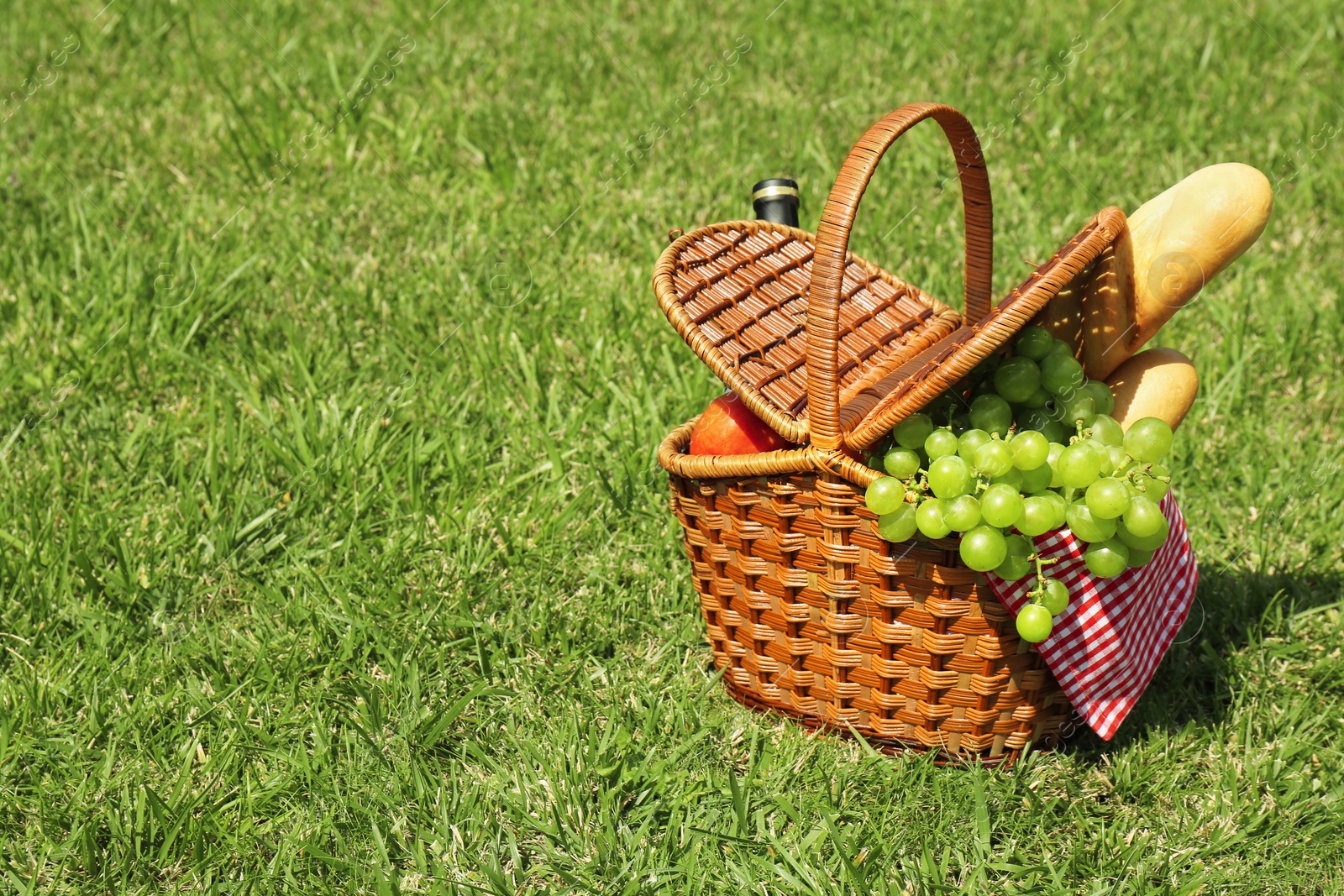 Photo of Basket with food on lawn in park. Summer picnic