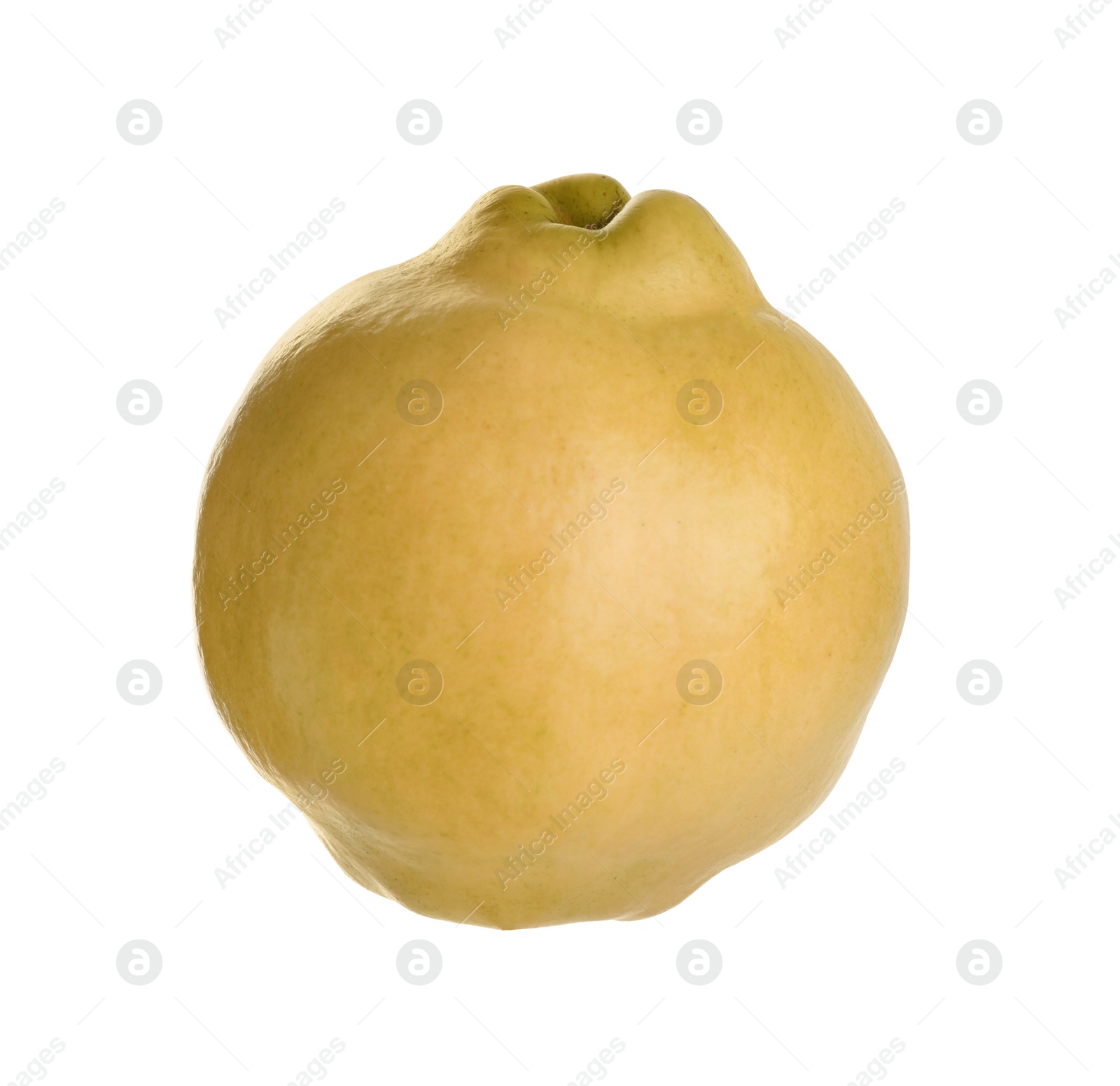 Photo of Fresh ripe quince fruit on white background