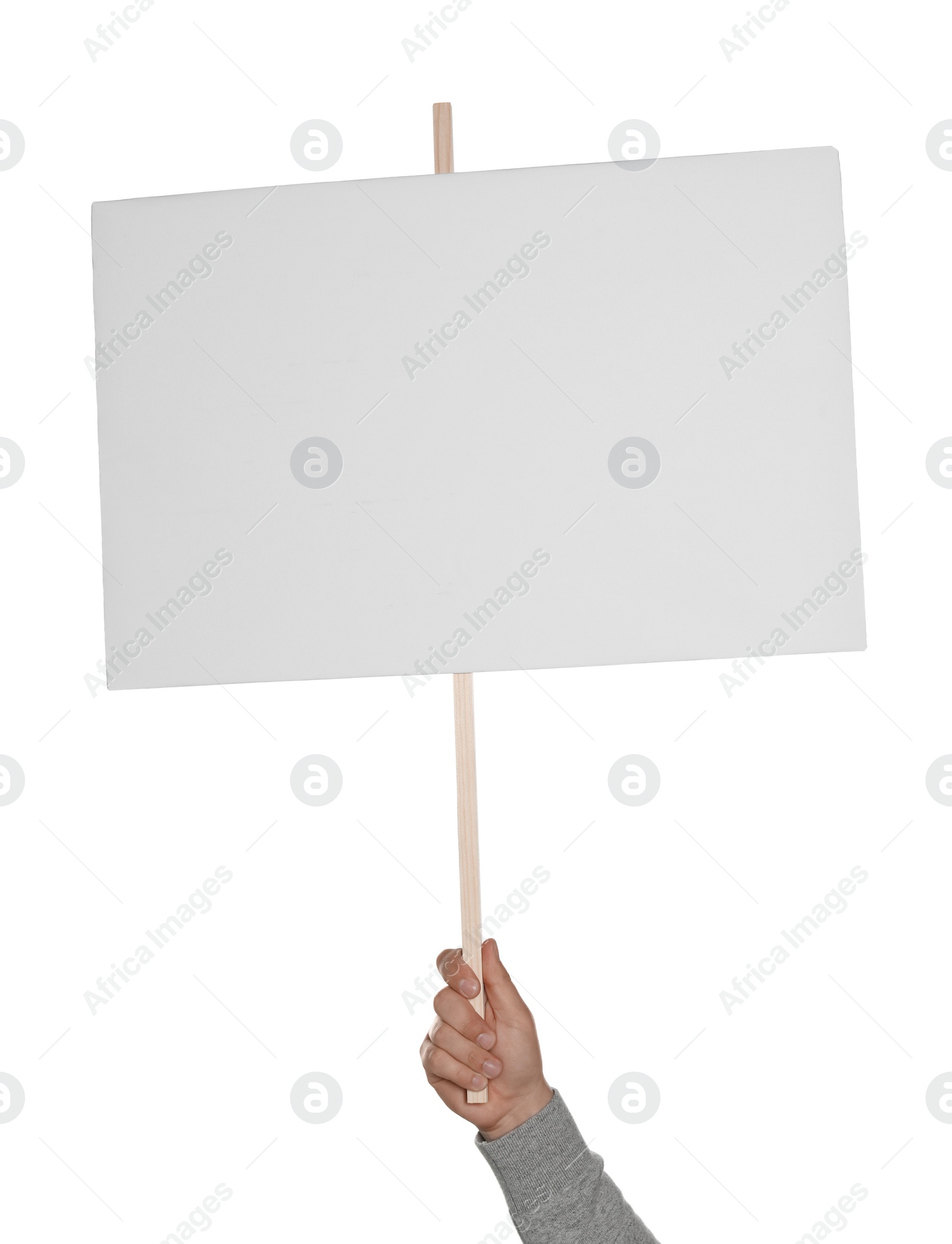 Photo of Man holding blank protest sign on white background, closeup