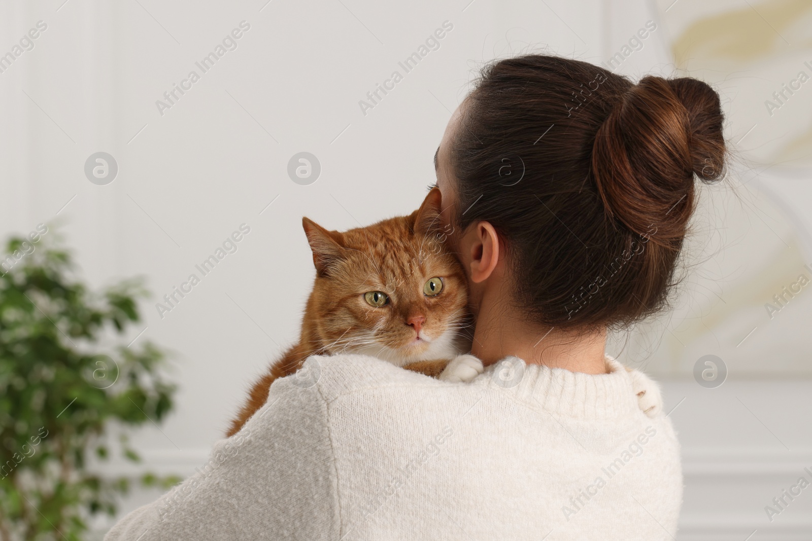 Photo of Woman with cute cat at home, back view