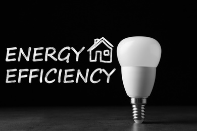 Image of Energy efficiency concept. Modern lamp bulb on table