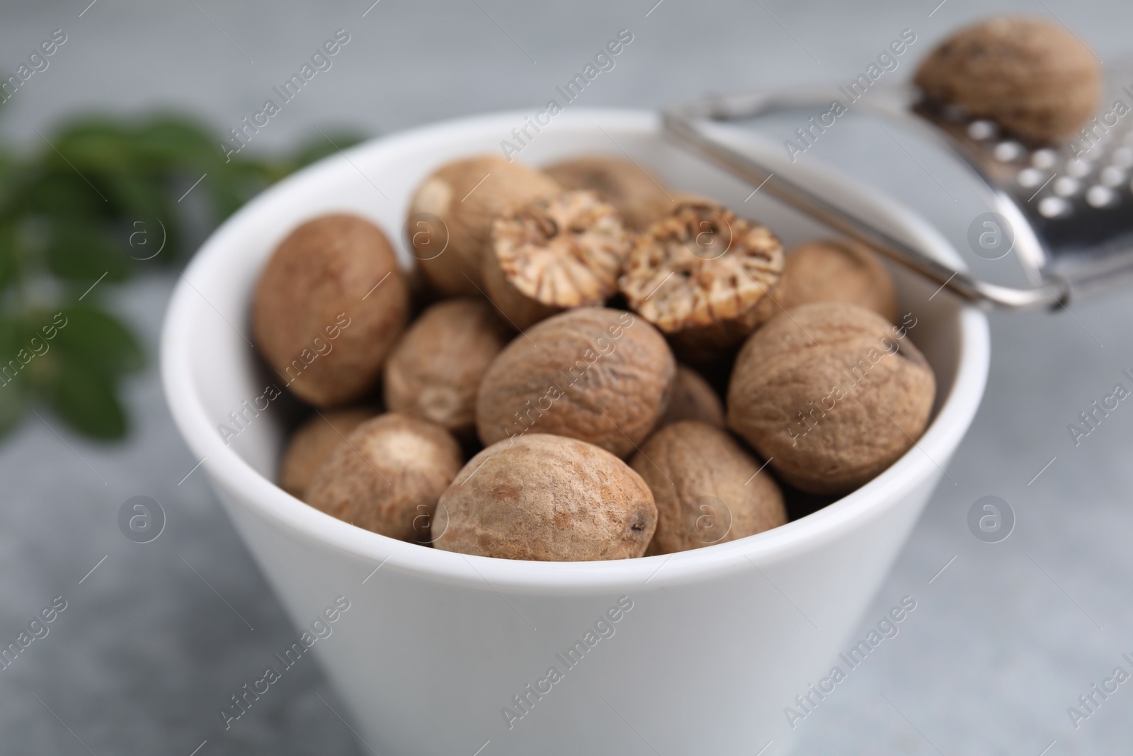 Photo of Nutmegs in bowl and grater on light table, closeup