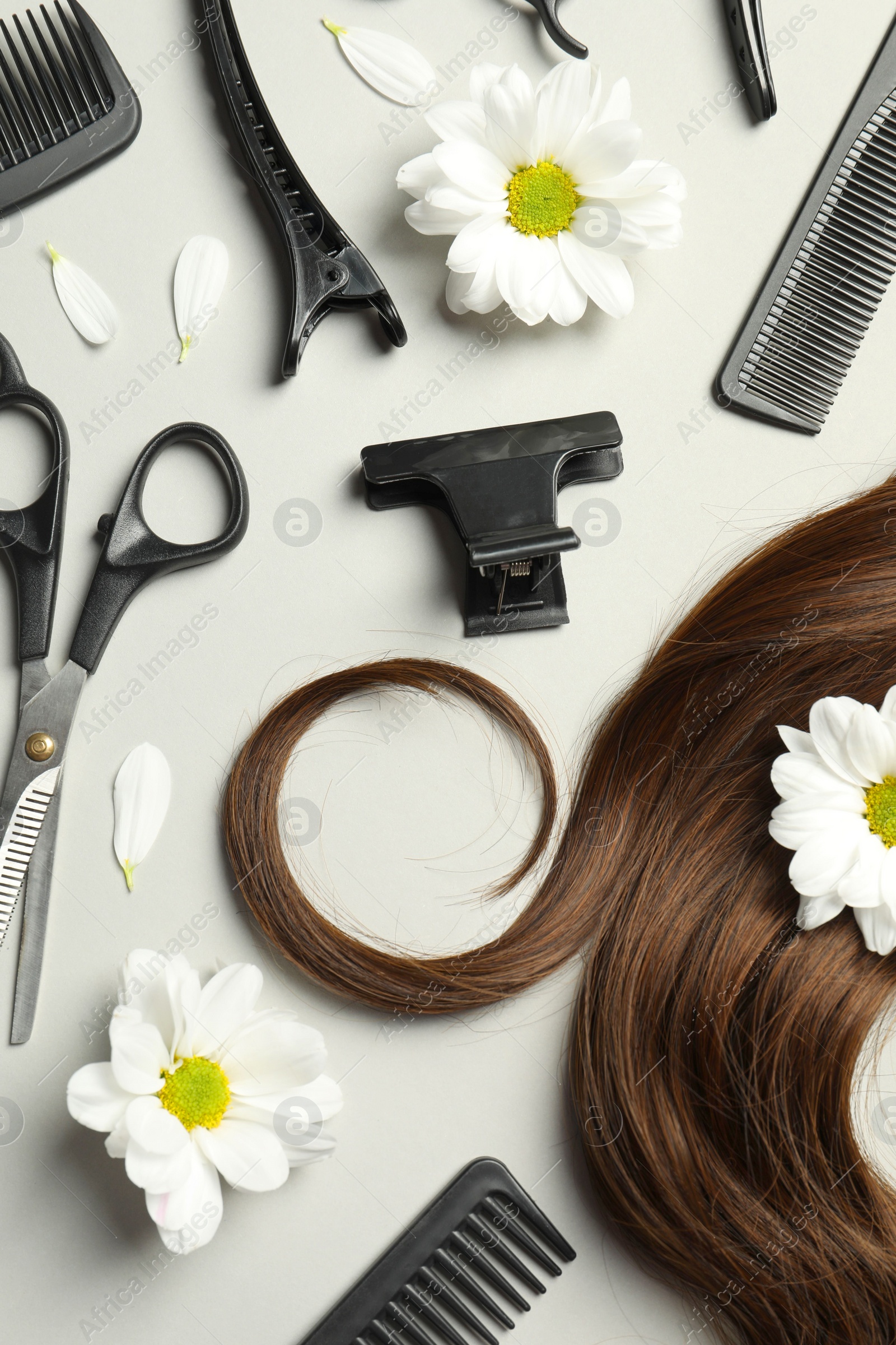 Photo of Flat lay composition with professional hairdresser tools, flowers and brown hair strand on light grey background