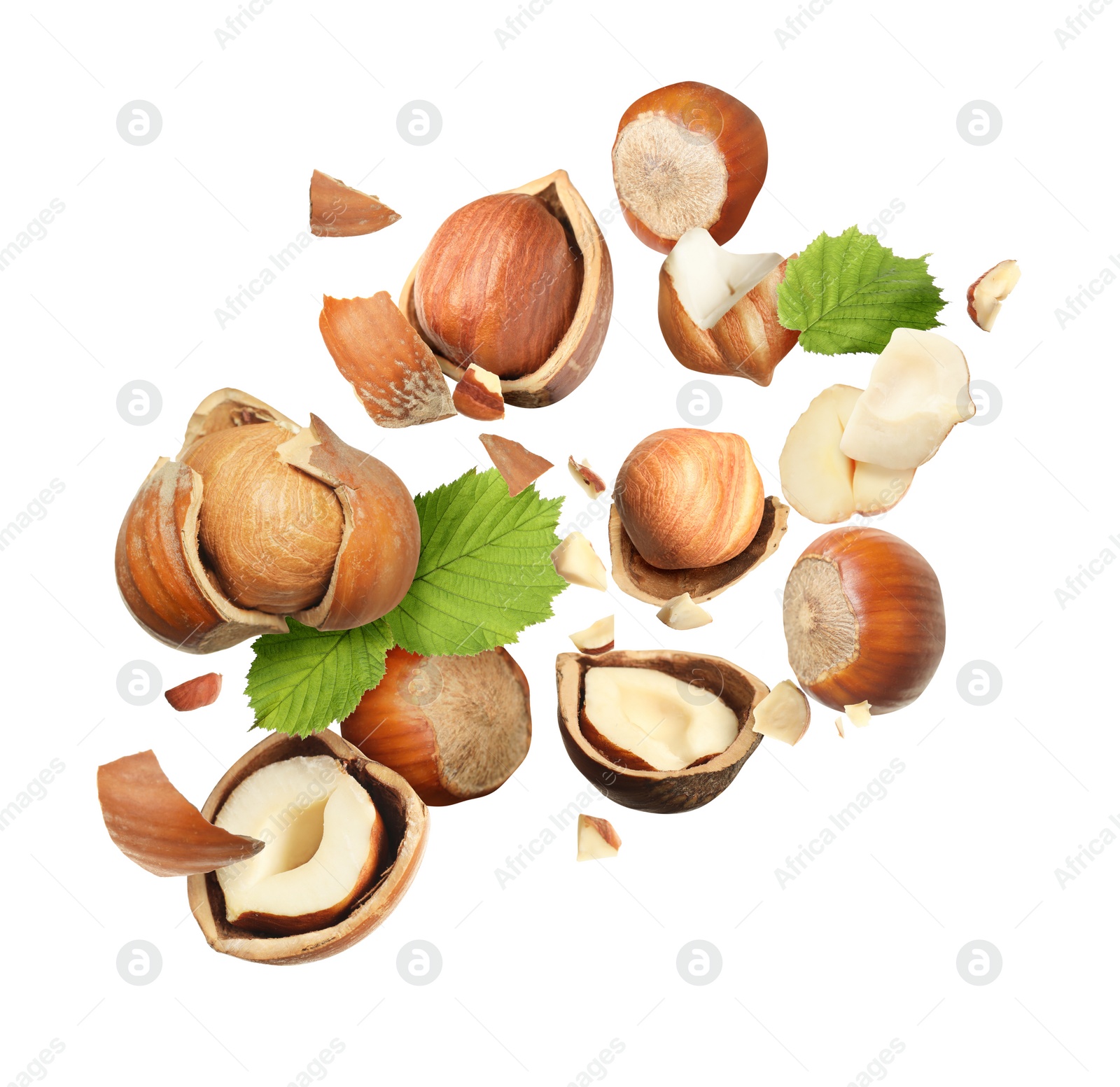 Pieces of tasty hazelnuts falling on white background Image of Pieces of tasty hazelnuts falling on white background
