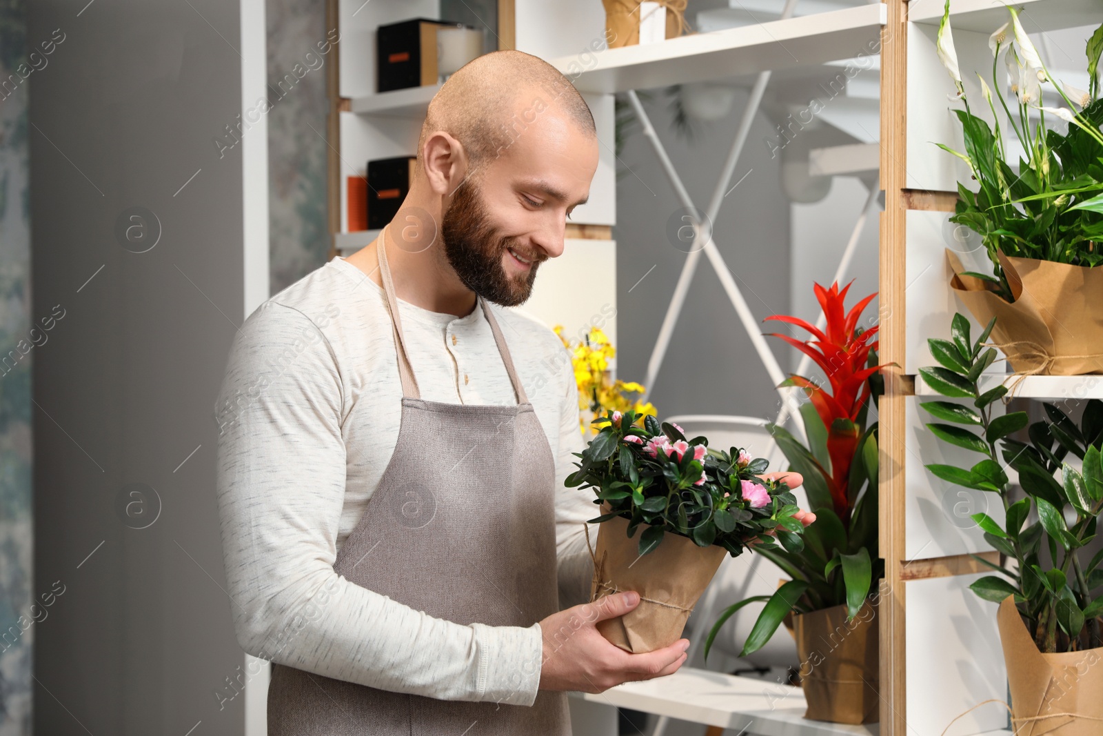 Photo of Professional male florist in apron at workplace