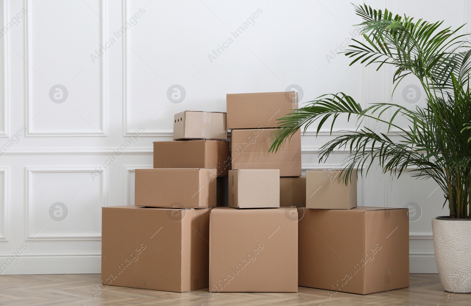 Photo of Heap of cardboard boxes and houseplant near white wall indoors. Moving day