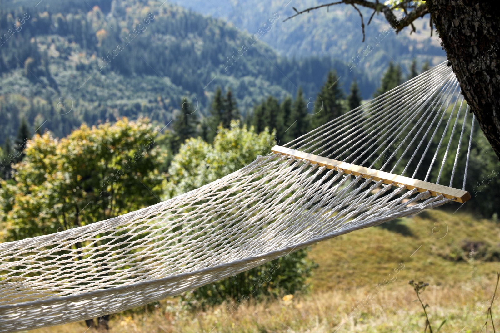 Photo of Empty comfortable net hammock in mountains on sunny day