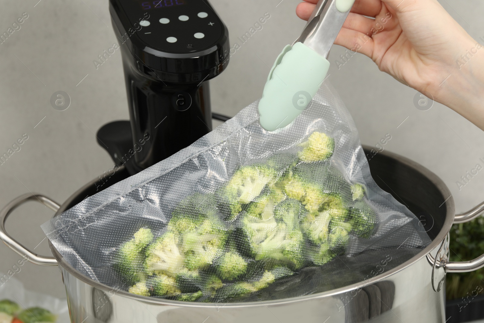 Photo of Woman putting vacuum packed broccoli into pot with sous vide cooker, closeup. Thermal immersion circulator