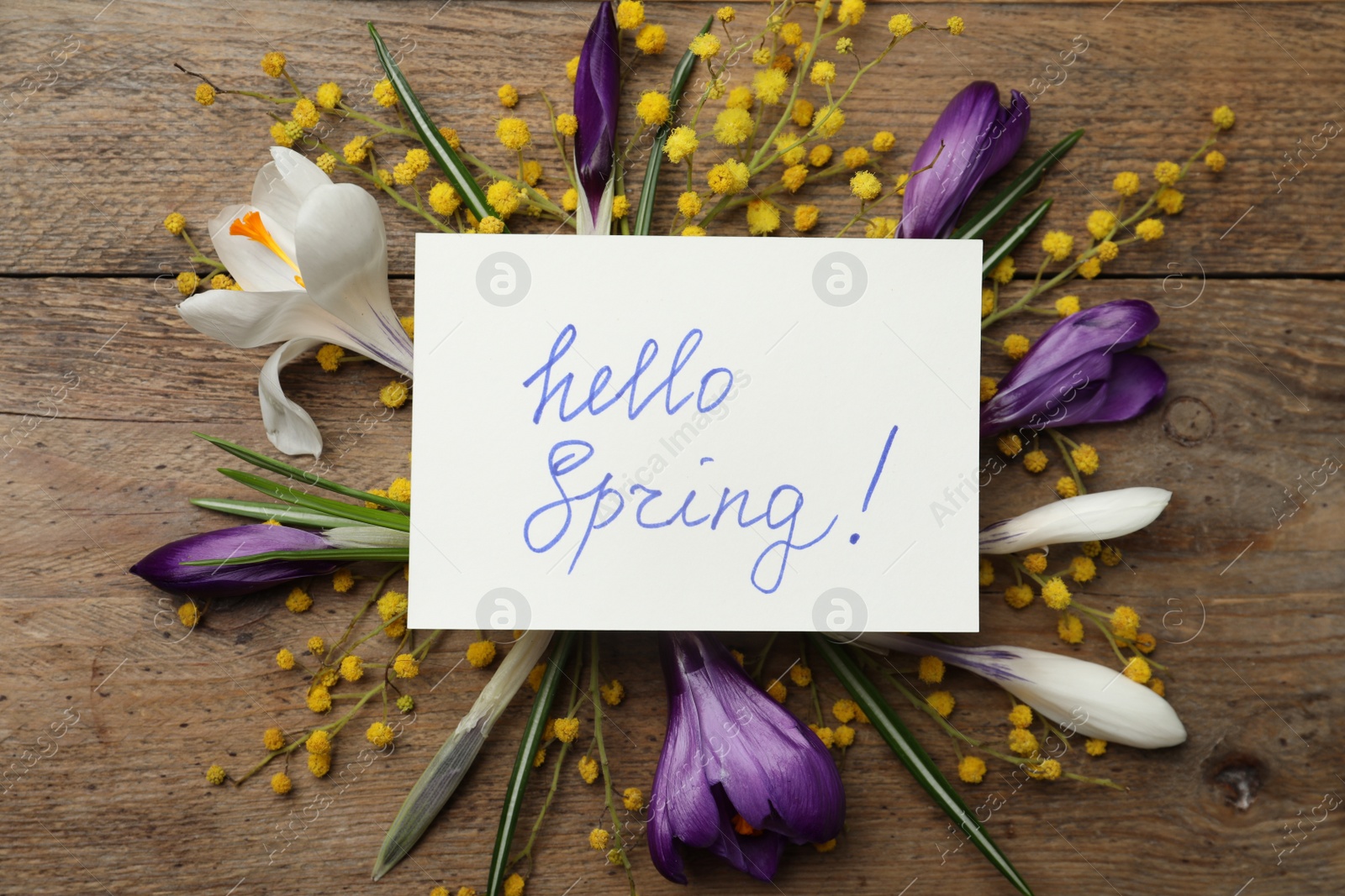 Photo of Card with words HELLO SPRING and fresh flowers on wooden table, flat lay