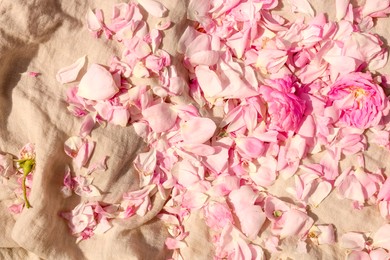 Photo of Beautiful tea rose petals on beige fabric, flat lay