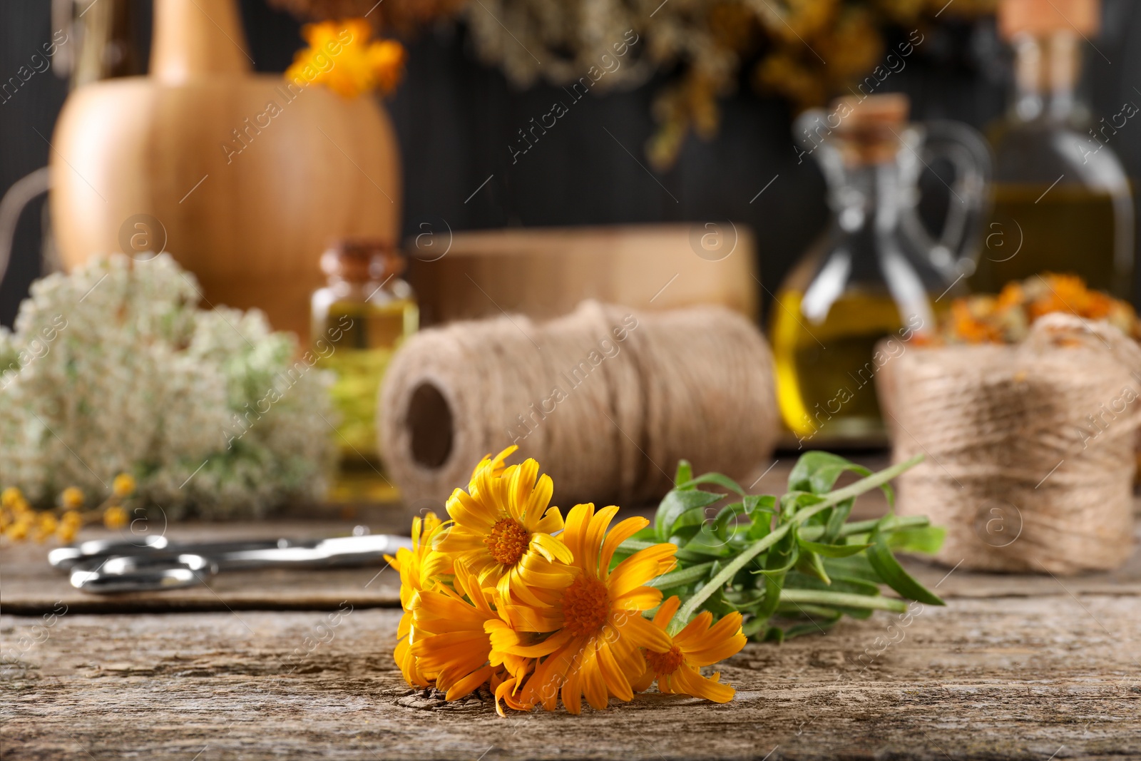 Photo of Calendula flowers on wooden table, closeup. Medicinal herbs