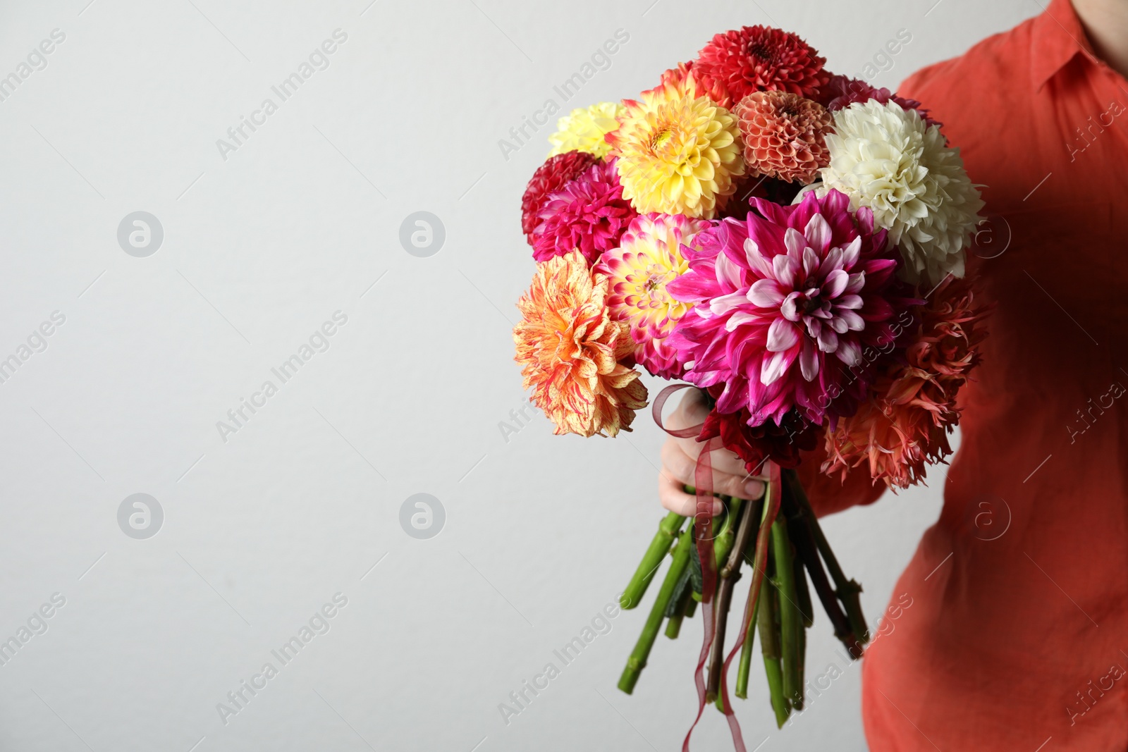 Photo of Woman with bouquet of beautiful dahlia flowers on light background, closeup. Space for text