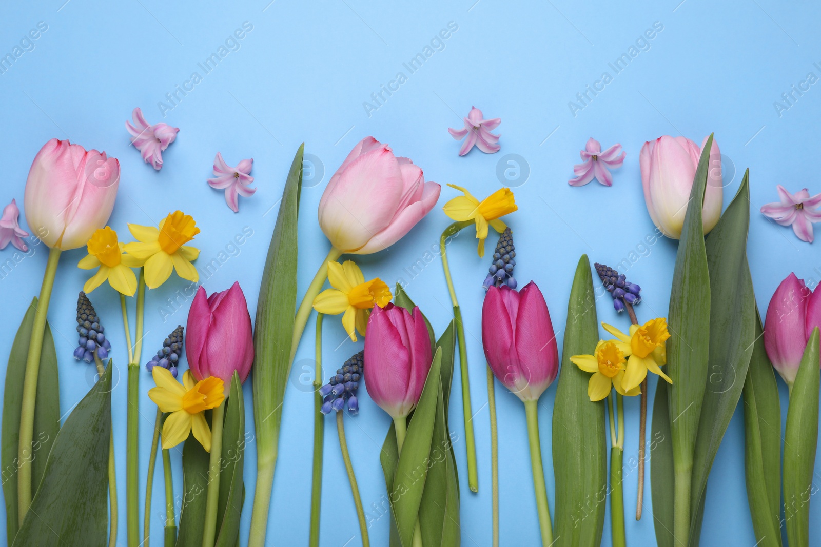 Photo of Beautiful flowers on light blue background, flat lay