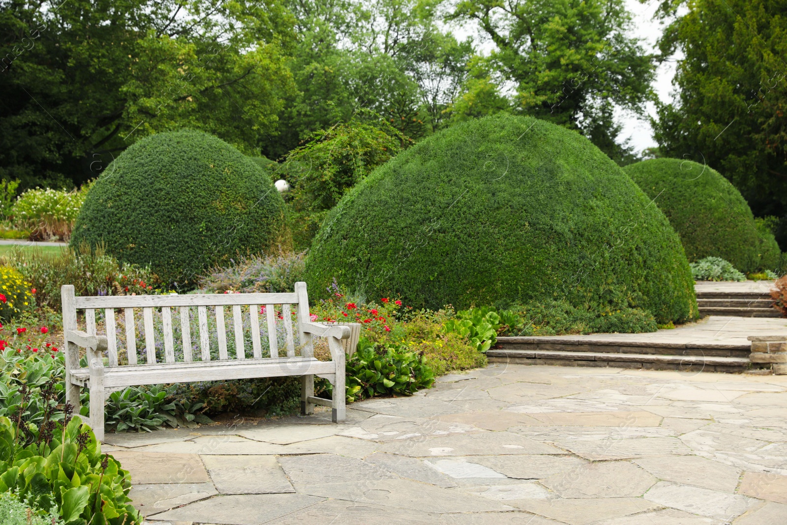 Photo of Stylish wooden bench in beautiful garden on sunny day