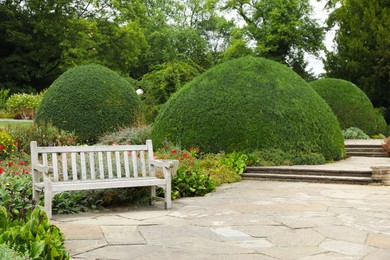 Stylish wooden bench in beautiful garden on sunny day