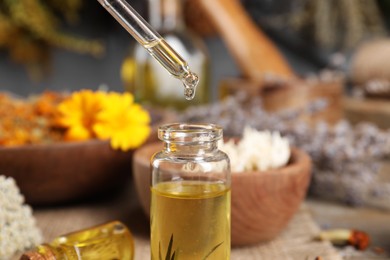 Dripping herbal essential oil from pipette into bottle on table, closeup