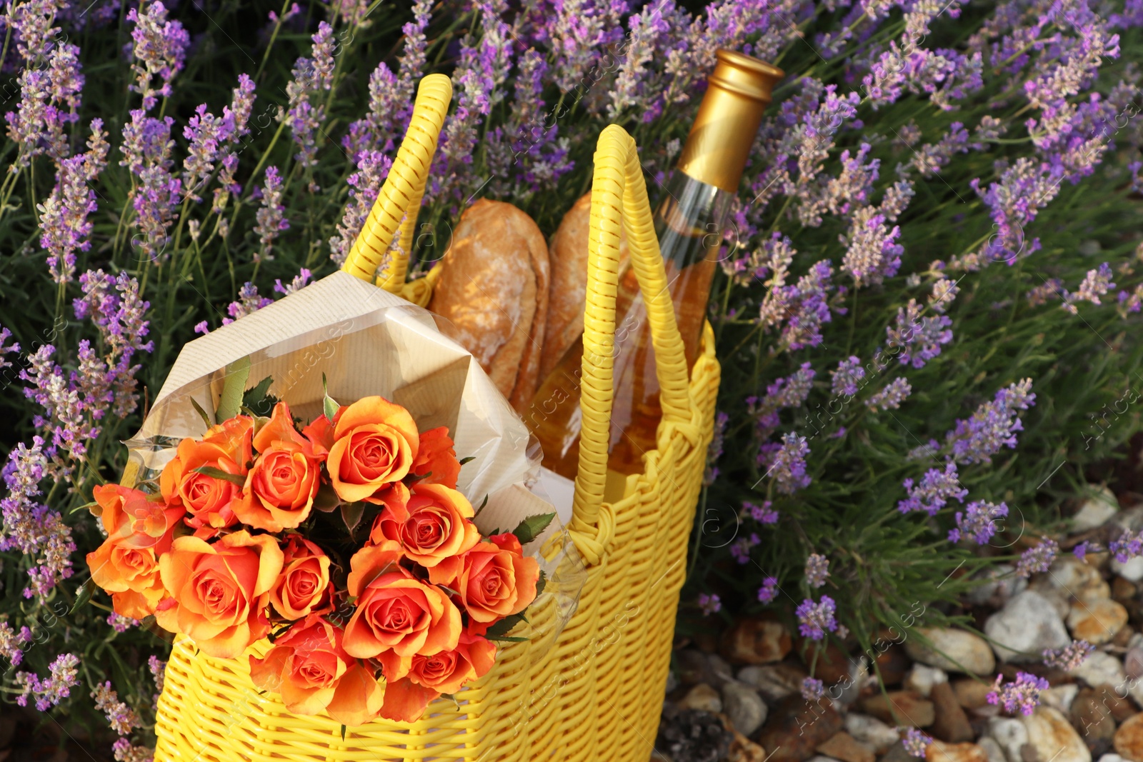 Photo of Yellow wicker bag with beautiful roses, bottle of wine and baguettes near lavender flowers outdoors