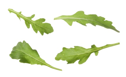 Image of Set of green arugula leaves on white background