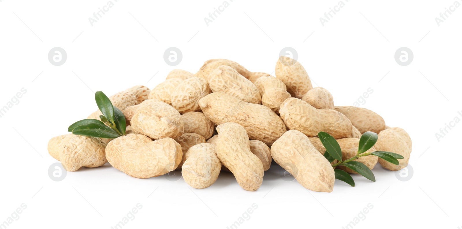 Photo of Fresh unpeeled peanuts and twigs isolated on white