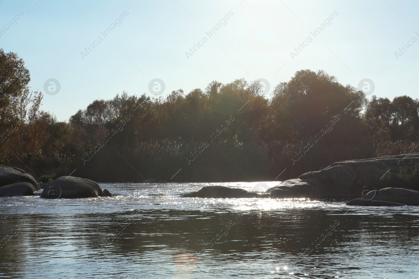 Photo of Picturesque view of autumn forest near pond