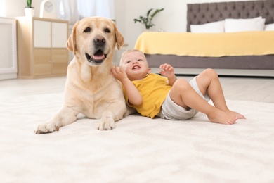 Photo of Adorable yellow labrador retriever and little boy at home