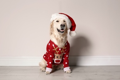 Photo of Cute dog in Christmas sweater and hat on floor