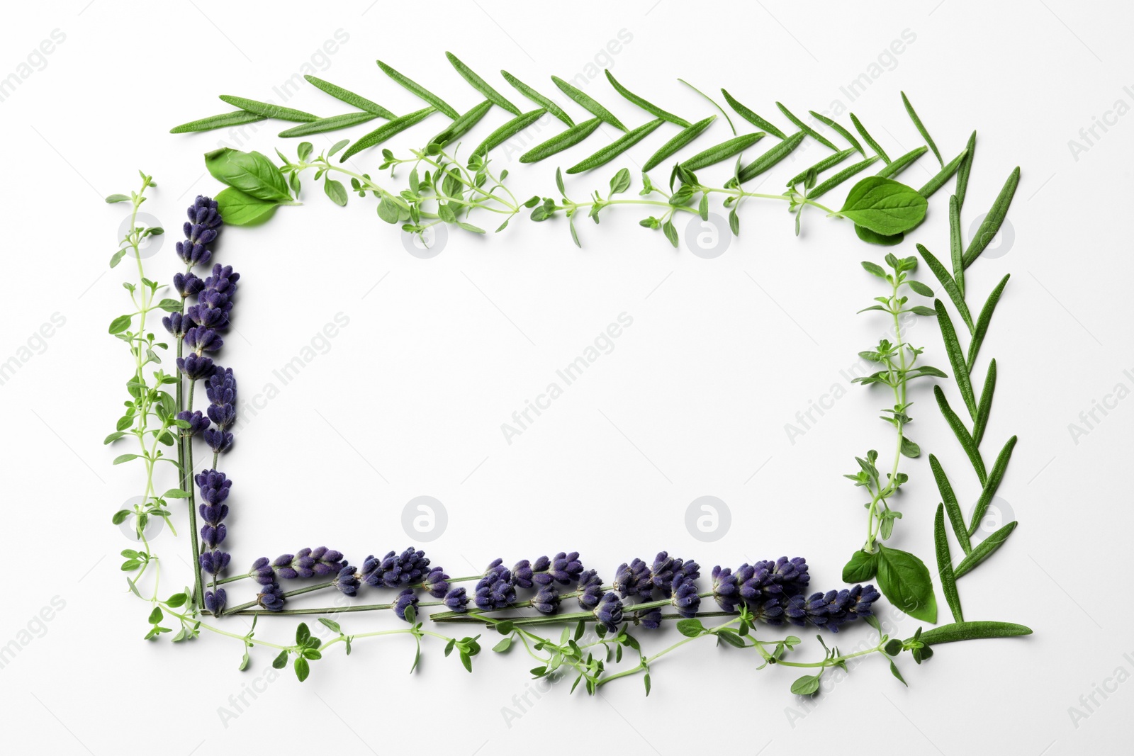 Photo of Frame made with different aromatic herbs on white background, flat lay. Space for text