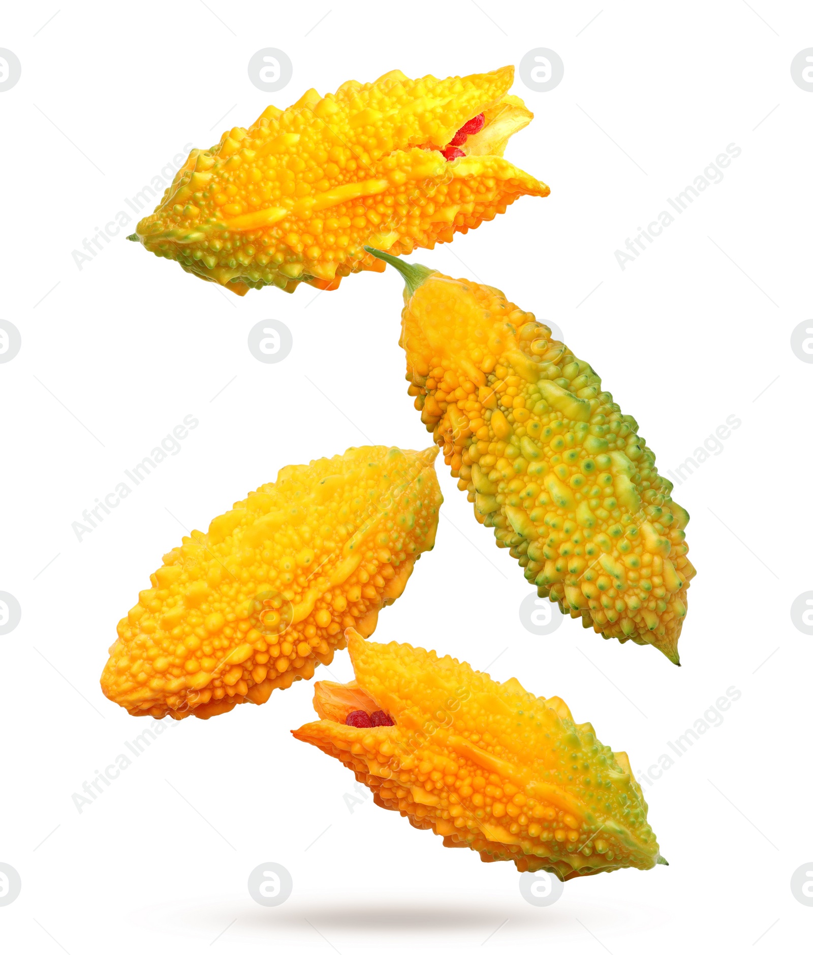 Image of Delicious ripe bitter melons falling on white background