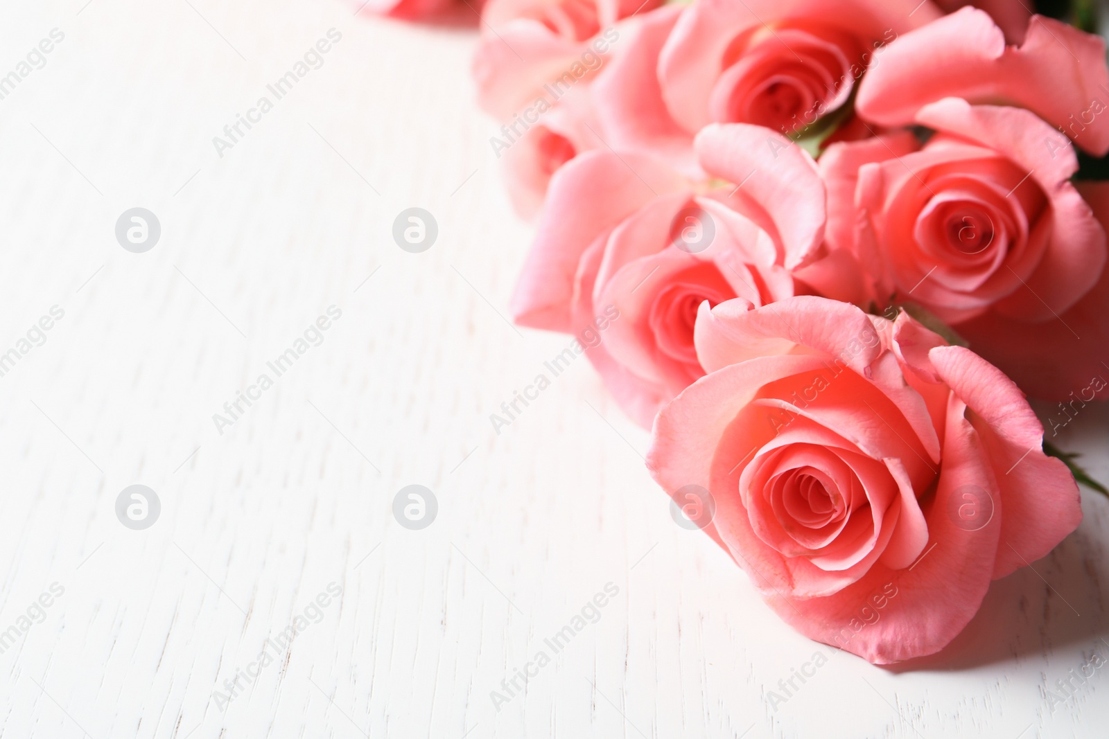 Photo of Beautiful roses on wooden table