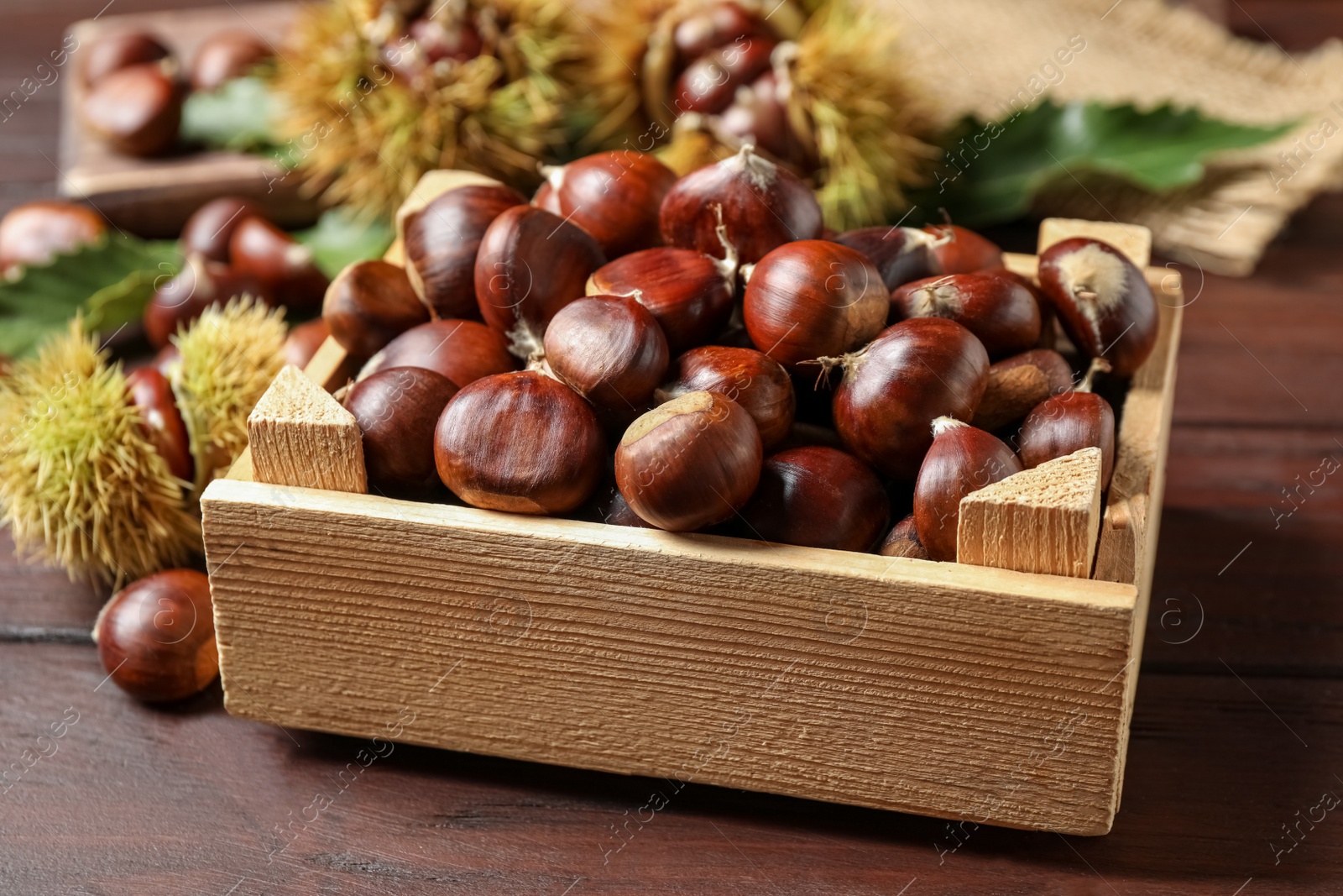 Photo of Fresh sweet edible chestnuts in crate on wooden table