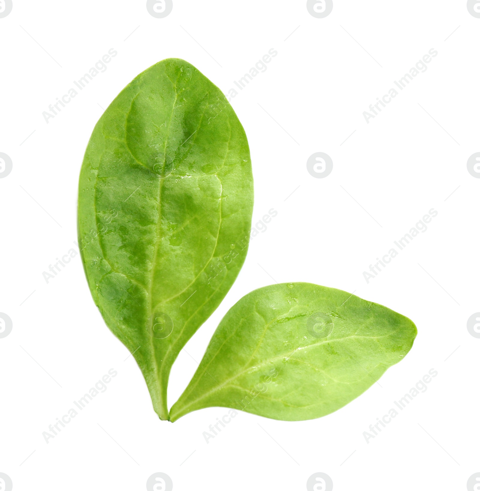 Photo of Fresh green healthy baby spinach leaves isolated on white, top view