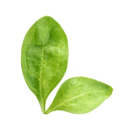 Photo of Fresh green healthy baby spinach leaves isolated on white, top view