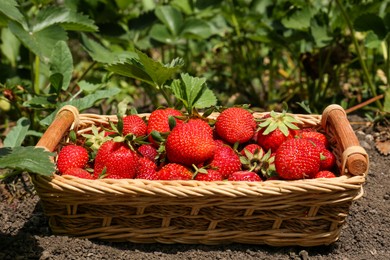 Photo of Basket with delicious fresh red strawberries on ground outdoors