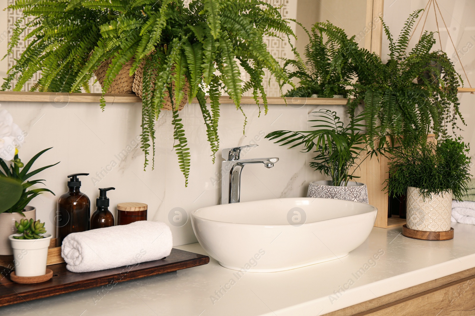 Photo of Counter with sink and many different houseplants near white marble wall