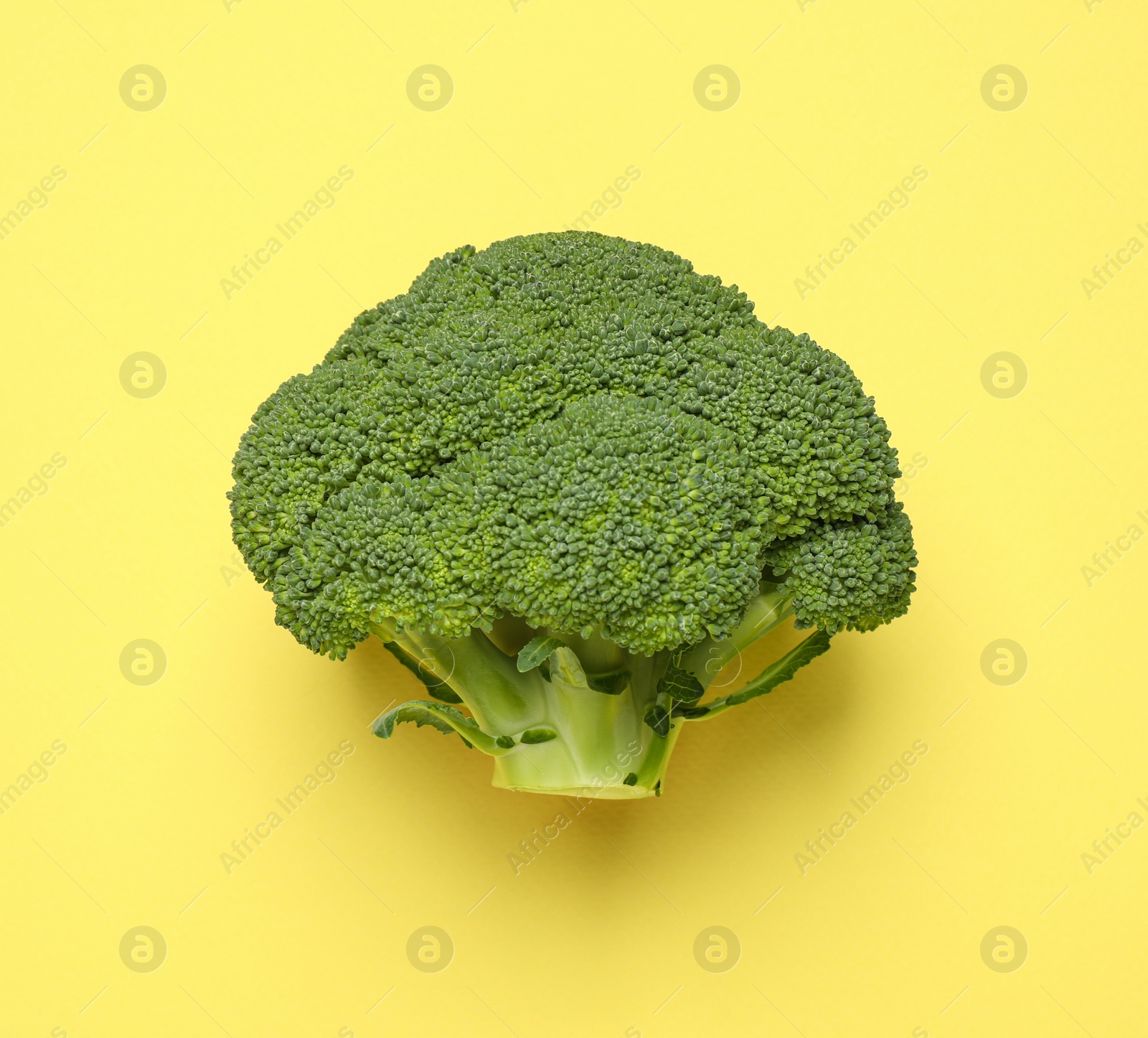 Photo of Fresh tasty broccoli on yellow background, top view