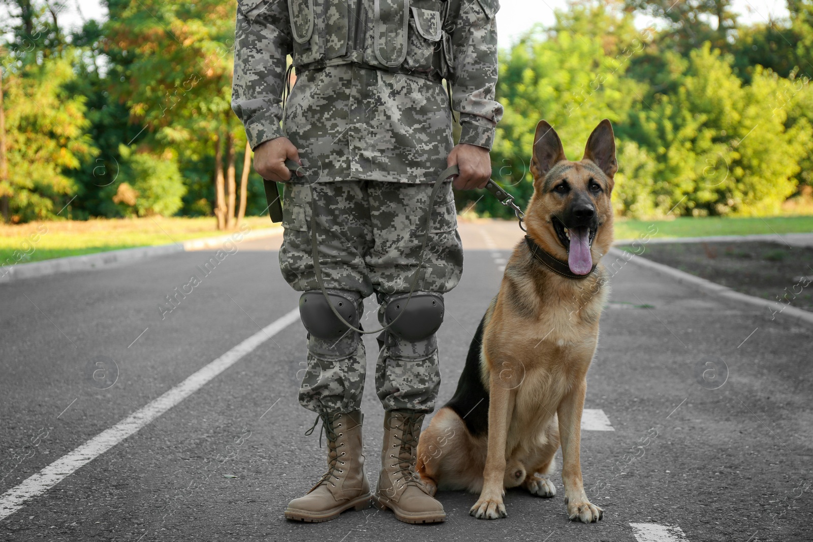 Photo of Man in military uniform with German shepherd dog outdoors, closeup