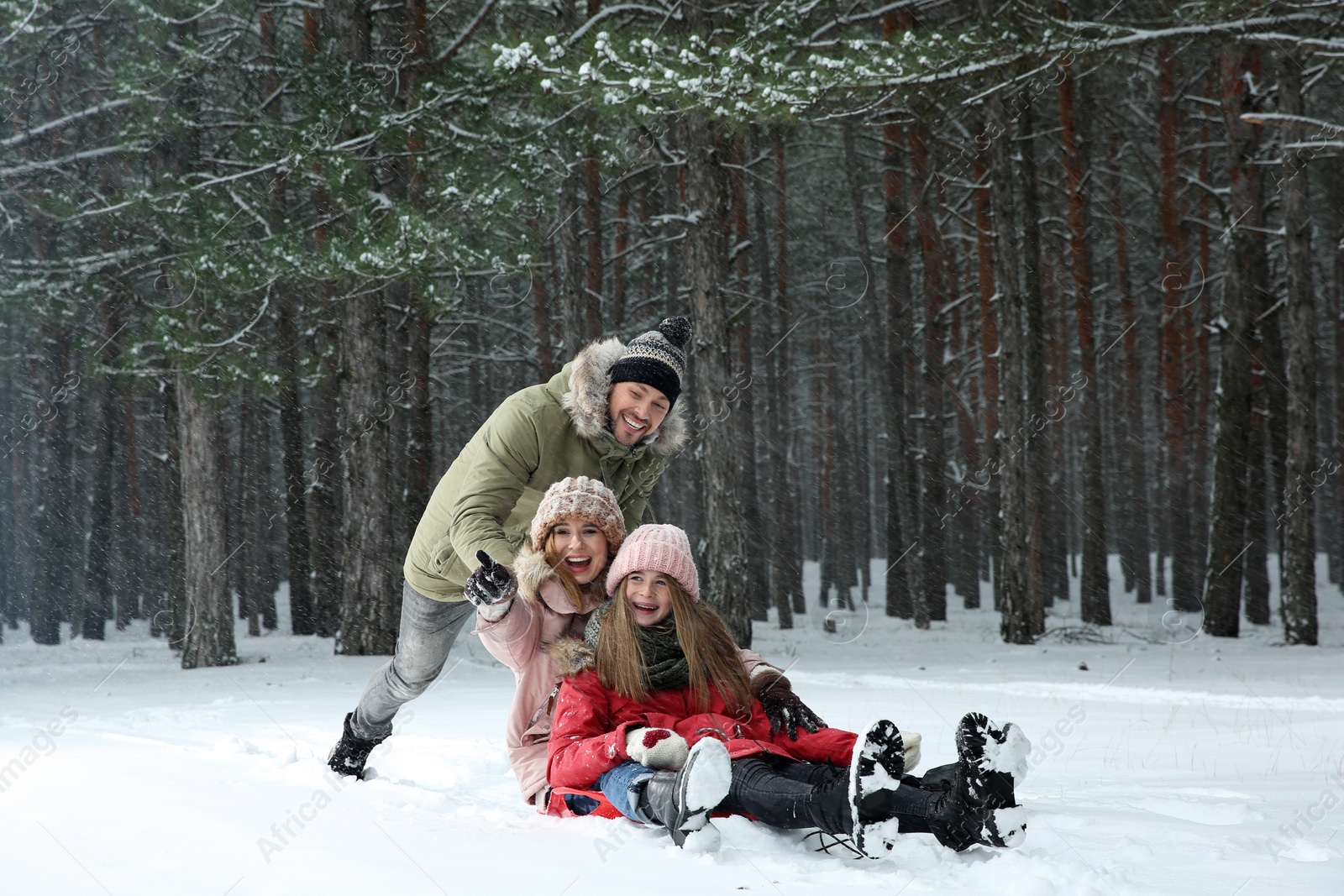 Photo of Happy family sledding in forest on snow day