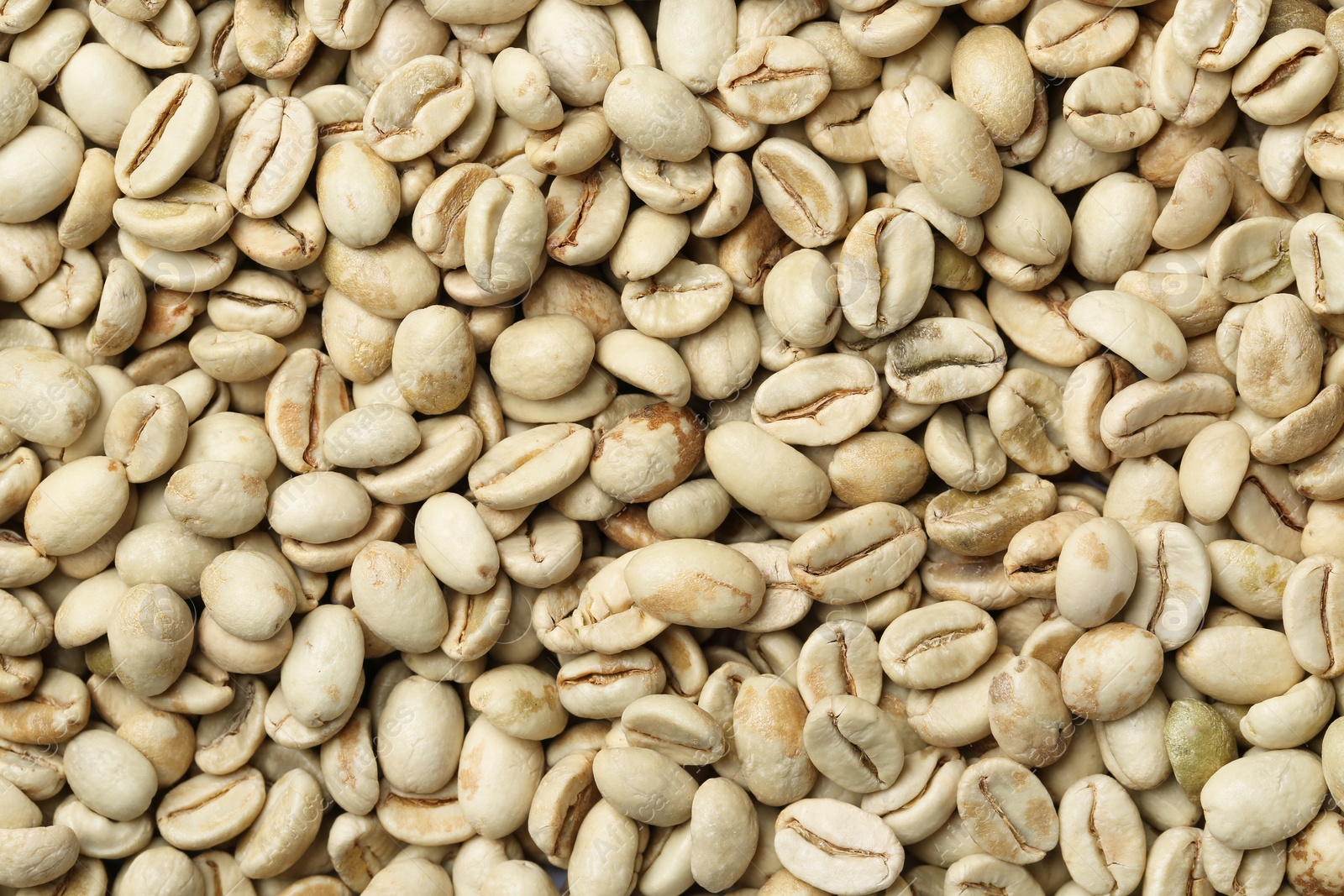 Photo of Green coffee beans as background, top view