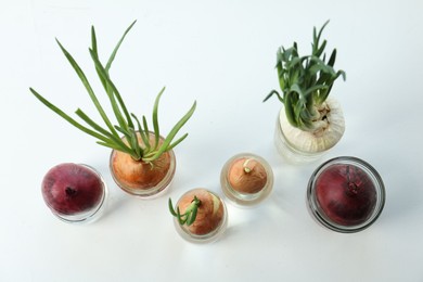 Many sprouted onions in glasses on white background, flat lay