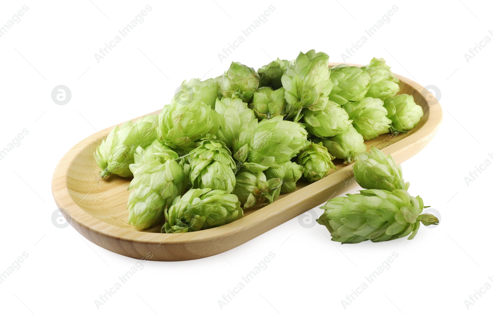 Photo of Many fresh green hops on white background