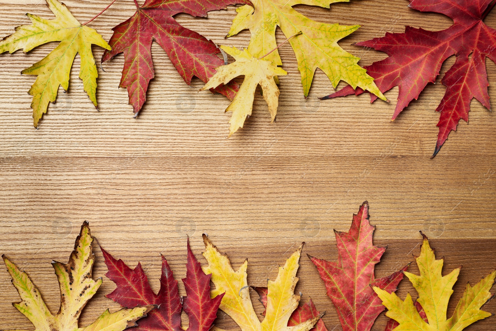 Photo of Dry autumn leaves of Japanese maple tree on wooden table, flat lay. Space for text