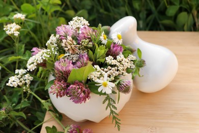 Ceramic mortar with pestle, different wildflowers and herbs on green grass outdoors, closeup