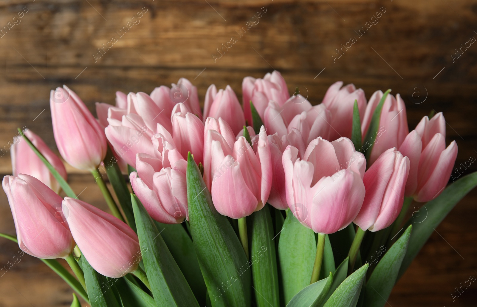 Photo of Beautiful pink spring tulips on wooden background, closeup
