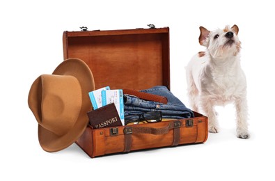 Photo of Travel with pet. Dog, clothes and suitcase on white background