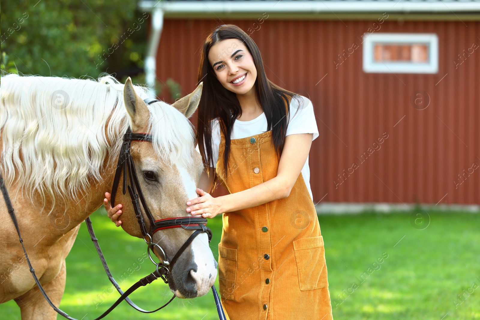 Photo of Palomino horse in bridle and young woman outdoors