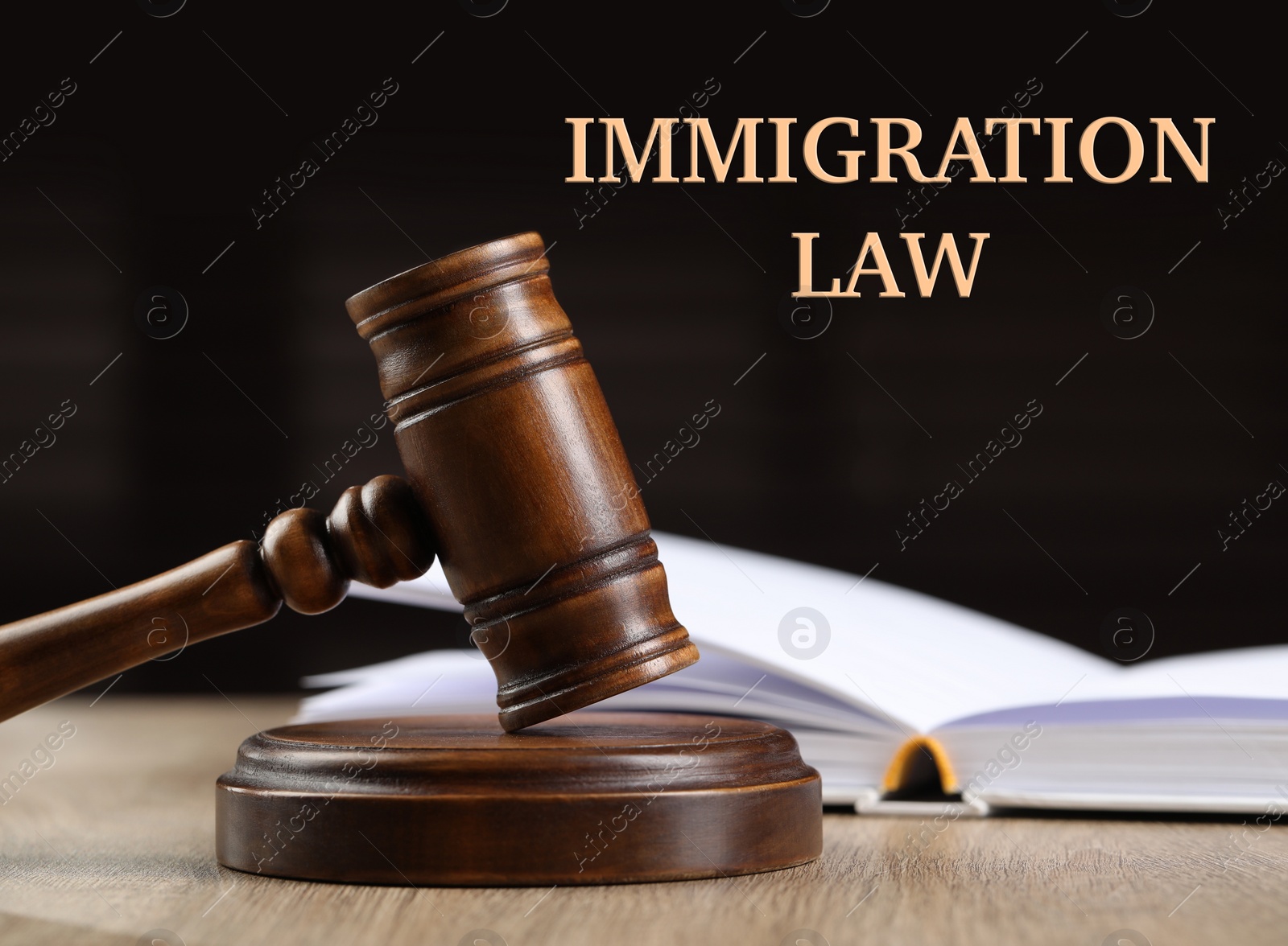 Image of Immigration law. Wooden gavel and open book on table