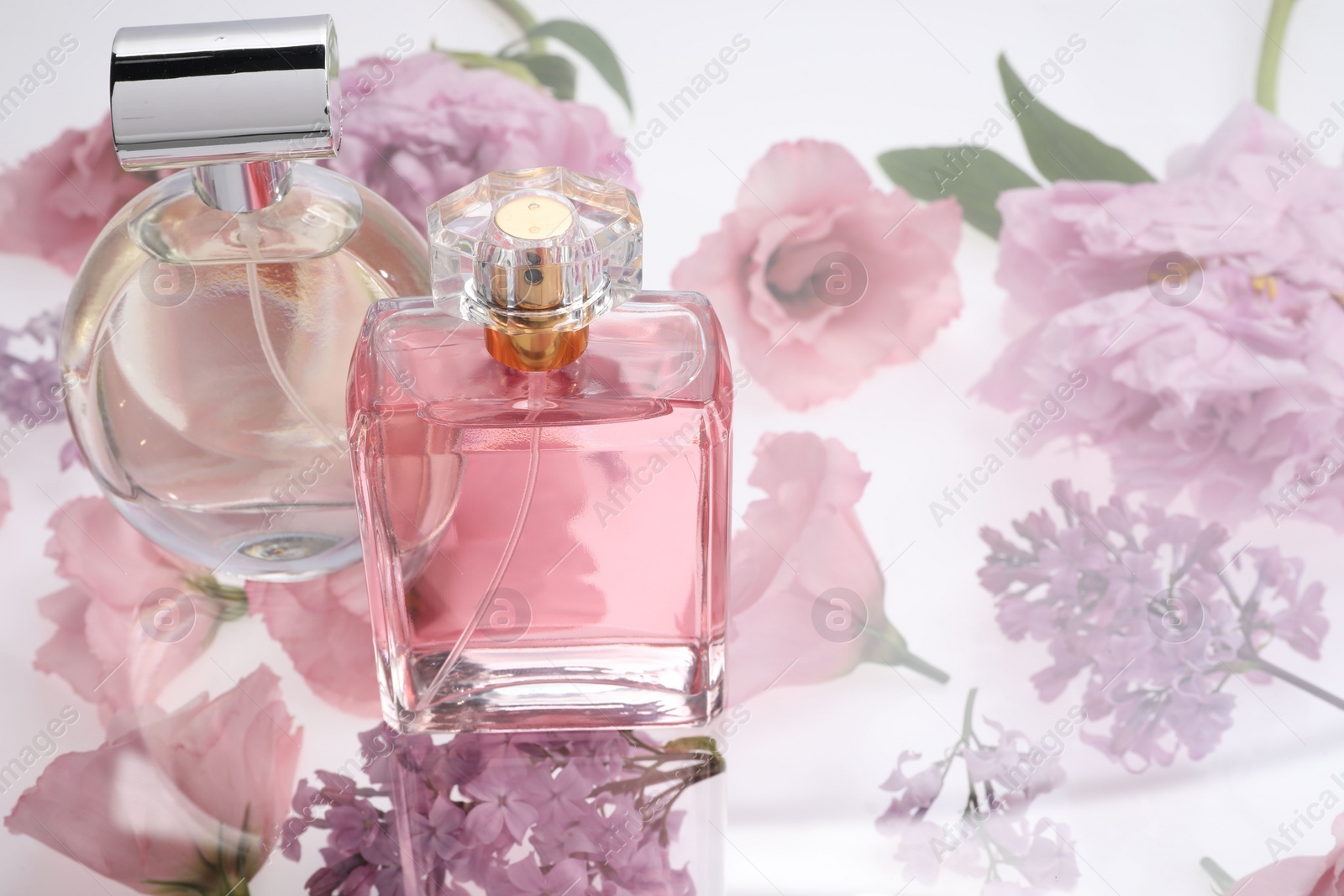 Photo of Two luxury perfumes on spring floral decor